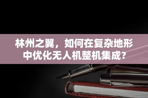 林州之翼，如何在复杂地形中优化无人机整机集成？