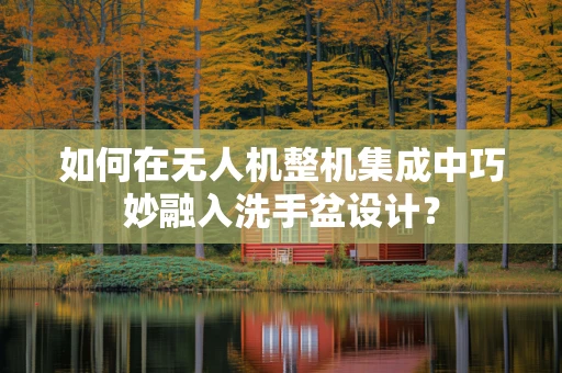 如何在无人机整机集成中巧妙融入洗手盆设计？