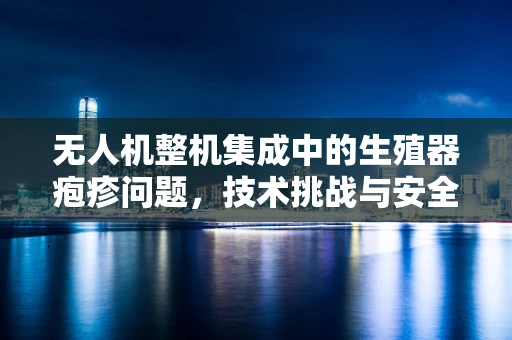无人机整机集成中的生殖器疱疹问题，技术挑战与安全考量