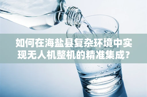 如何在海盐县复杂环境中实现无人机整机的精准集成？