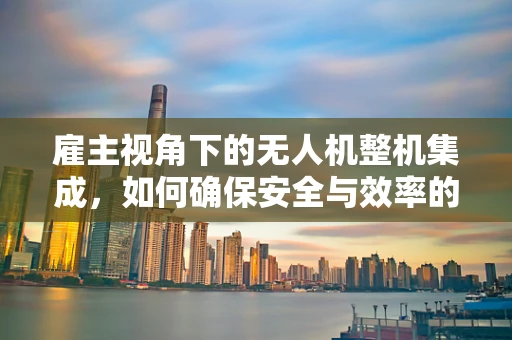 雇主视角下的无人机整机集成，如何确保安全与效率的完美平衡？