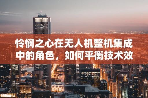 怜悯之心在无人机整机集成中的角色，如何平衡技术效率与伦理考量？
