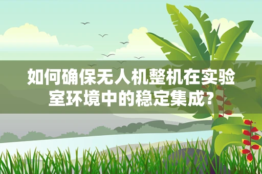 如何确保无人机整机在实验室环境中的稳定集成？