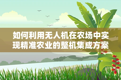 如何利用无人机在农场中实现精准农业的整机集成方案？