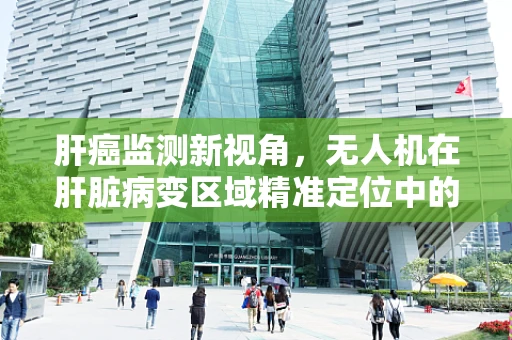 肝癌监测新视角，无人机在肝脏病变区域精准定位中的应用挑战