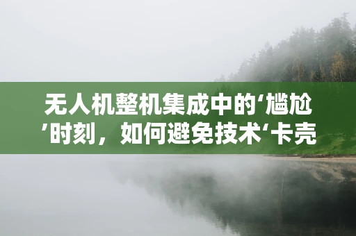 无人机整机集成中的‘尴尬’时刻，如何避免技术‘卡壳’？