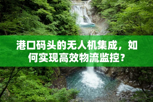 港口码头的无人机集成，如何实现高效物流监控？