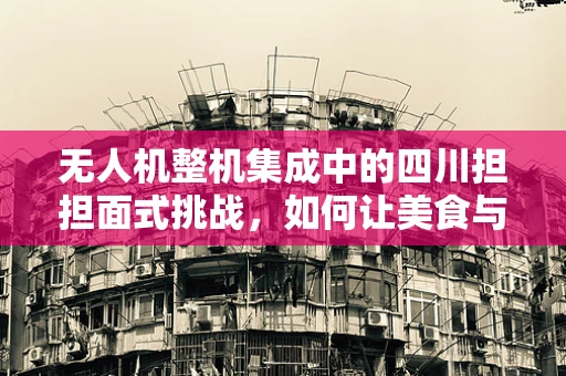 无人机整机集成中的四川担担面式挑战，如何让美食与科技完美融合？