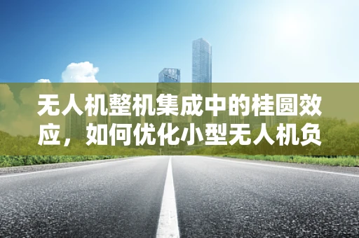无人机整机集成中的桂圆效应，如何优化小型无人机负载平衡？