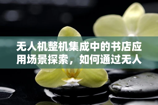 无人机整机集成中的书店应用场景探索，如何通过无人机为书店带来创新阅读体验？