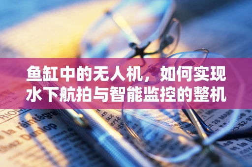 鱼缸中的无人机，如何实现水下航拍与智能监控的整机集成？