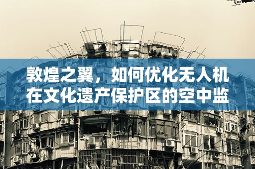 敦煌之翼，如何优化无人机在文化遗产保护区的空中监测？