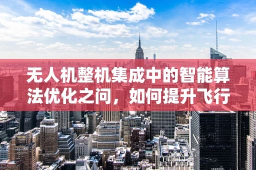 无人机整机集成中的智能算法优化之问，如何提升飞行稳定性和任务效率？