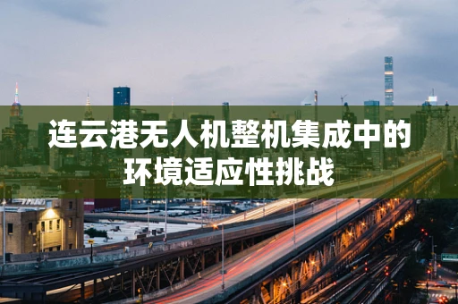 连云港无人机整机集成中的环境适应性挑战