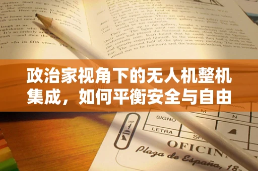 政治家视角下的无人机整机集成，如何平衡安全与自由？