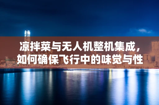 凉拌菜与无人机整机集成，如何确保飞行中的味觉与性能同步？