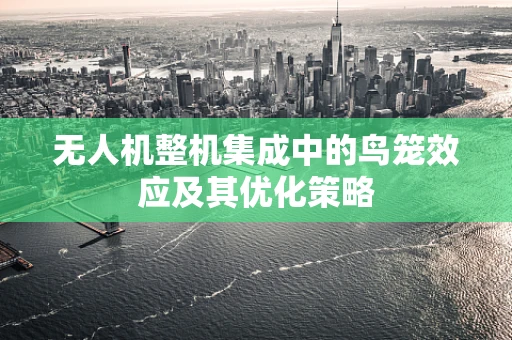 无人机整机集成中的鸟笼效应及其优化策略