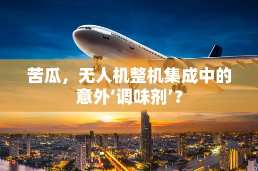 苦瓜，无人机整机集成中的意外‘调味剂’？