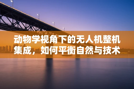 动物学视角下的无人机整机集成，如何平衡自然与技术的和谐？