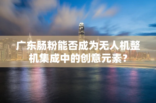 广东肠粉能否成为无人机整机集成中的创意元素？