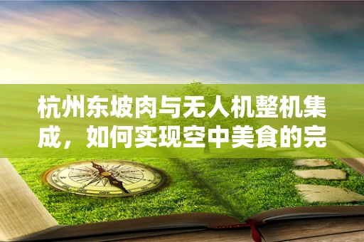 杭州东坡肉与无人机整机集成，如何实现空中美食的完美配送？