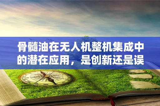 骨髓油在无人机整机集成中的潜在应用，是创新还是误区？