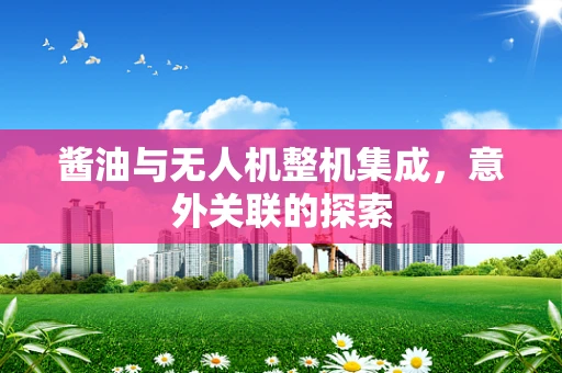 酱油与无人机整机集成，意外关联的探索