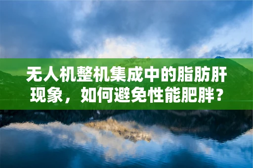 无人机整机集成中的脂肪肝现象，如何避免性能肥胖？