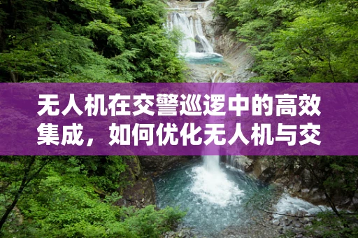 无人机在交警巡逻中的高效集成，如何优化无人机与交警队长的协同指挥？