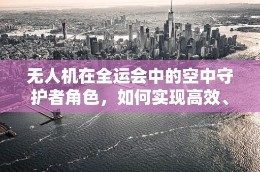 无人机在全运会中的空中守护者角色，如何实现高效、安全的整机集成？