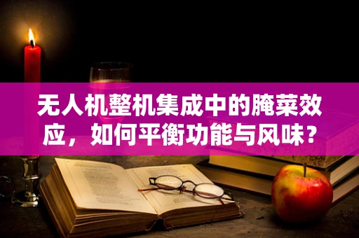 无人机整机集成中的腌菜效应，如何平衡功能与风味？