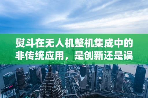 熨斗在无人机整机集成中的非传统应用，是创新还是误解？