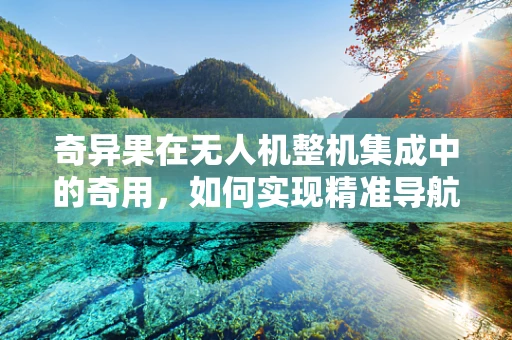 奇异果在无人机整机集成中的奇用，如何实现精准导航与负载优化？