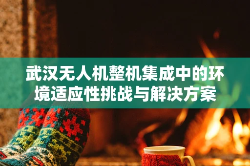 武汉无人机整机集成中的环境适应性挑战与解决方案