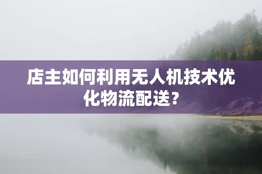 店主如何利用无人机技术优化物流配送？