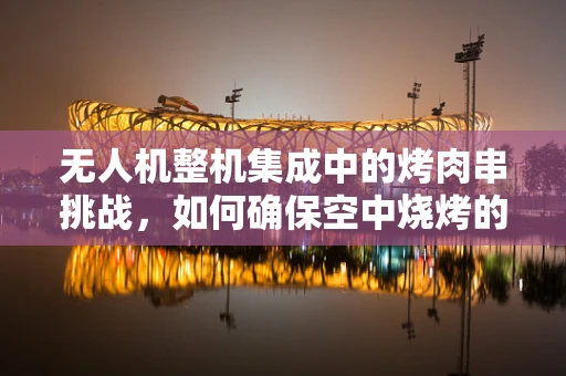 无人机整机集成中的烤肉串挑战，如何确保空中烧烤的精准与安全？