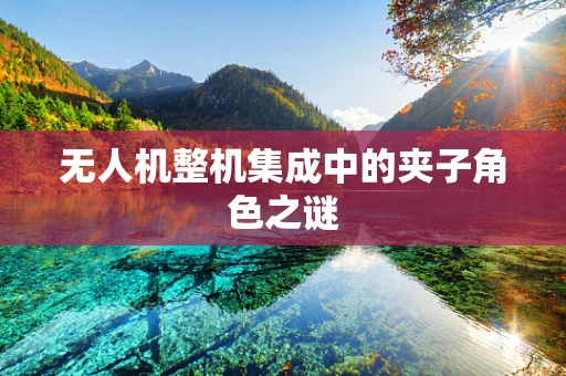 无人机整机集成中的夹子角色之谜