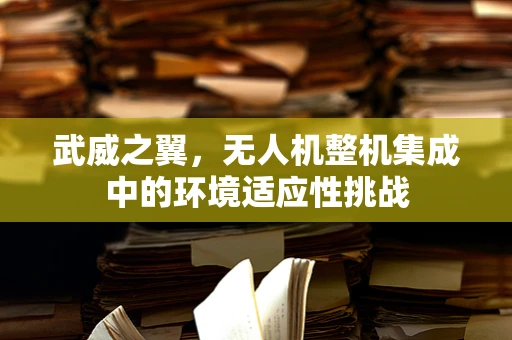 武威之翼，无人机整机集成中的环境适应性挑战