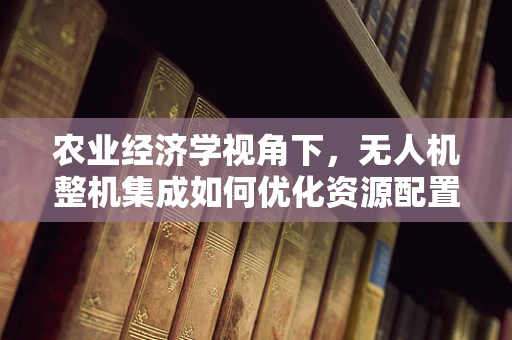 农业经济学视角下，无人机整机集成如何优化资源配置？