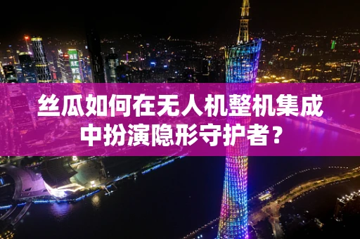 丝瓜如何在无人机整机集成中扮演隐形守护者？