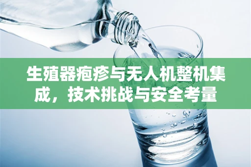 生殖器疱疹与无人机整机集成，技术挑战与安全考量