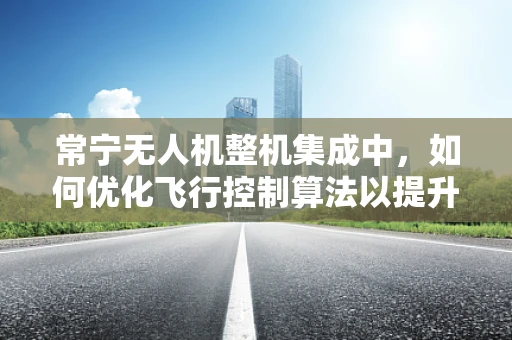 常宁无人机整机集成中，如何优化飞行控制算法以提升飞行稳定性？