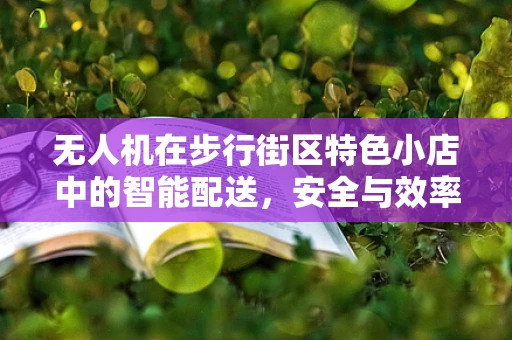 无人机在步行街区特色小店中的智能配送，安全与效率的平衡挑战