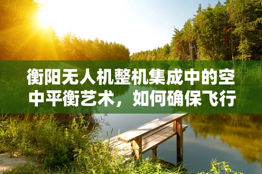 衡阳无人机整机集成中的空中平衡艺术，如何确保飞行稳定与精准操控？