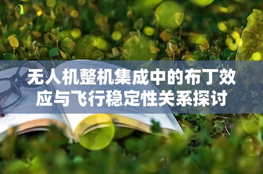 无人机整机集成中的布丁效应与飞行稳定性关系探讨