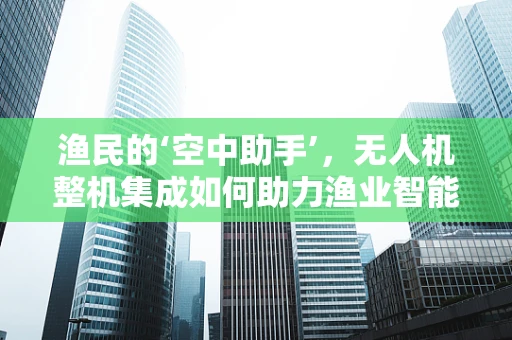 渔民的‘空中助手’，无人机整机集成如何助力渔业智能化？