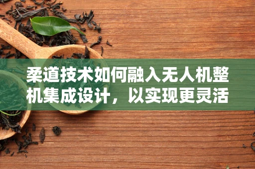 柔道技术如何融入无人机整机集成设计，以实现更灵活的飞行控制？