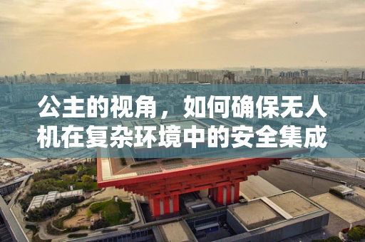 公主的视角，如何确保无人机在复杂环境中的安全集成？