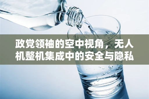 政党领袖的空中视角，无人机整机集成中的安全与隐私平衡挑战