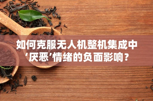 如何克服无人机整机集成中‘厌恶’情绪的负面影响？